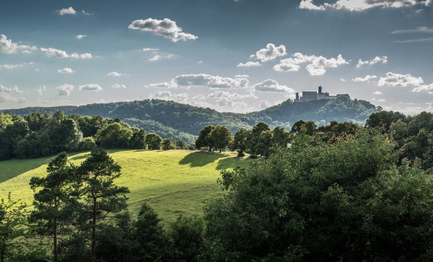 Teaser Panorama Wartburg: 