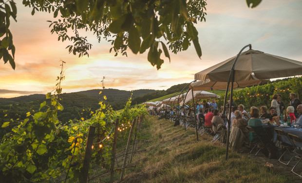 Teaser Panorama, Rheingau Musik Festival, Steinberger Tafelrunde: 