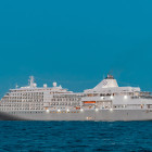 Silver Shadow Silver Shadow