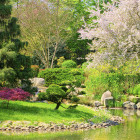 02 Breslau, Park: 