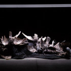 Opernhaus Zürich, Szene aus »Macbeth«
