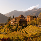Herbstliche Landschaft mit Weinbergen und Blick auf Schloss Rametz