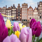 04 MKF, Amsterdam: 