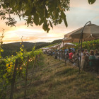 Die Steinbacher Tafelrunde in den Weinbergen des Eberbacher Steinberg im Rheingau
