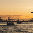 06 Hamburg: 