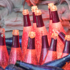 06 Regensburg, Schlossfestspiele: 