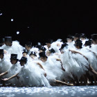 07 Wiesbaden, Staatstheater Wiesbaden, Szene aus "Der Nussknacker": 