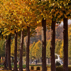 07 Schwetzingen, Schwetzinger Schlossgarten: 