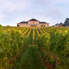 08 RMF, Schloss Johannisberg: 
