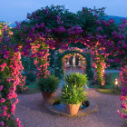 09 Baden-Baden, Rosengarten: 