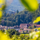11 Baden-Baden Kloster Lichtenthal: 