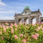 11 Brüssel, Parc du Cinquantenaire: 