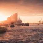 11 Hamburg: 