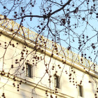 11 Hamburg, Jenisch Park: 