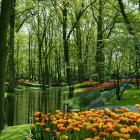 Tulpenbeete im Keukenhof