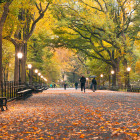 12 New York, Central Park: 