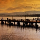 Zürich