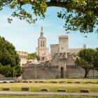 Blick auf Stadtmauer und Altstadt von Avignon