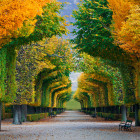 Wien im Herbst