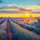 Teaser Panorama Provence: 