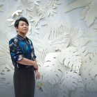 Teaser Panorama, Lang Lang: 