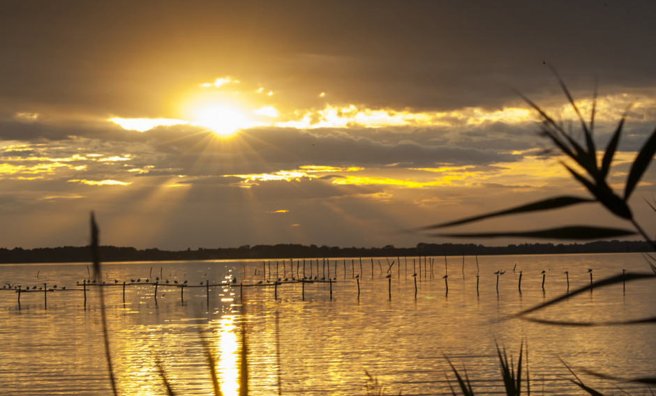 Torre del Lago Puccini Festival Festspielreisen 25.29. Juli 2024