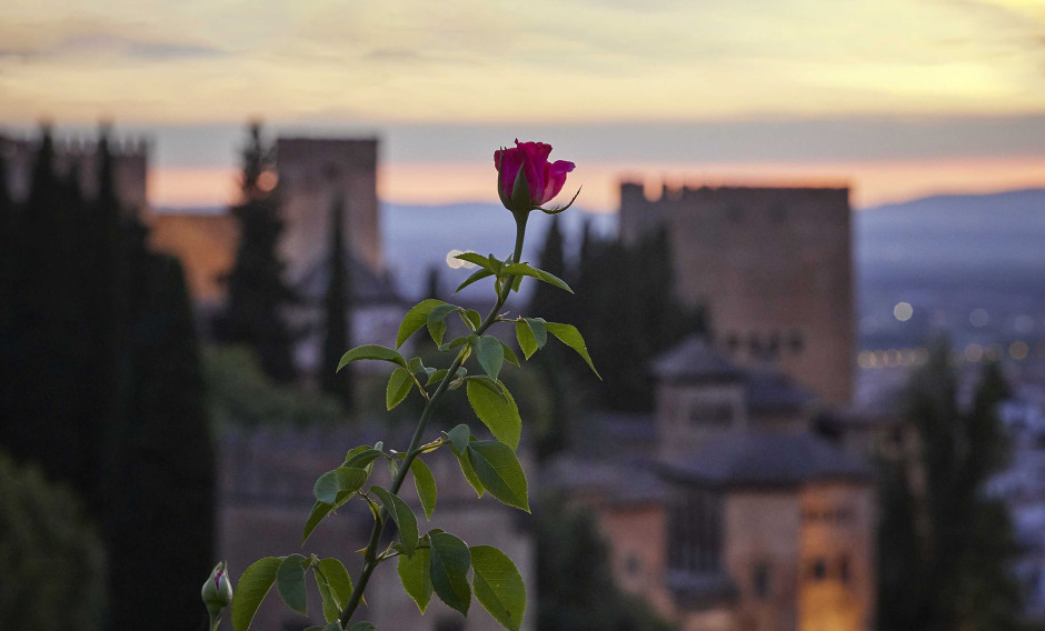 Abendstimmung beim Granada Festival mit Blick auf die Alhambra