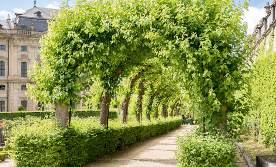 03: Laubengang im Hofgarten der Residenz Würzburg   