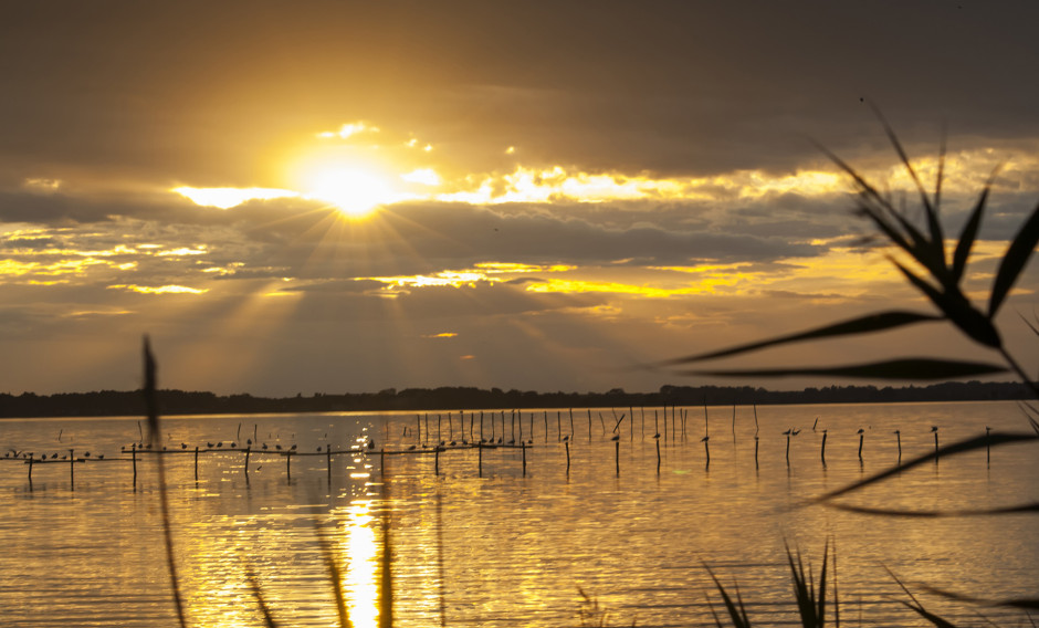 Abendstimmung am romantischen Massaciuccoli-See beim Puccini Festival Torre del Lago