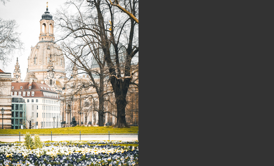 Dresden Frühling in Dresden – Altstadt mit Frauenkirche vor Frühlingsblumen