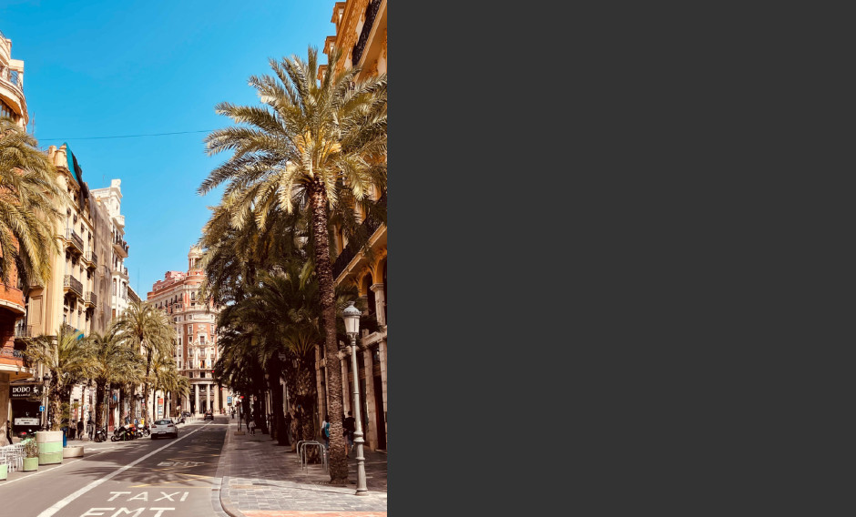 Eine Straße mit Palmen in der Altstadt von Valencia