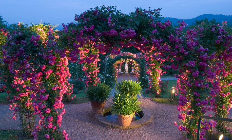 07 Baden-Baden, Rosengarten:
