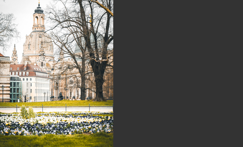 Frühling in Dresden – Altstadt mit Frauenkirche vor Frühlingsblumen     
