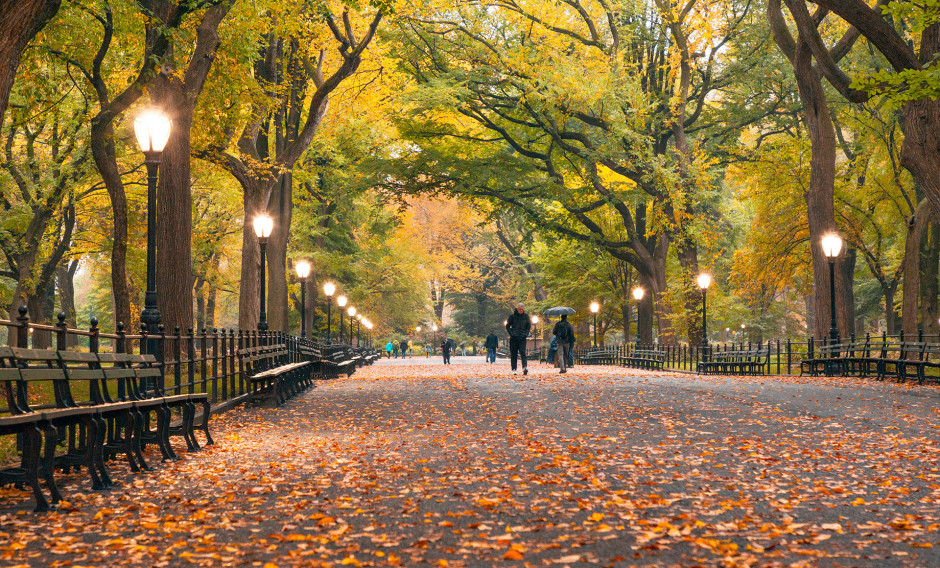 12 New York, Central Park: 