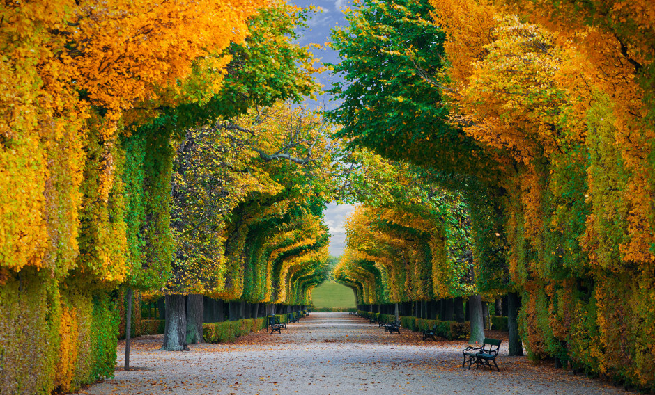 Wien im Herbst