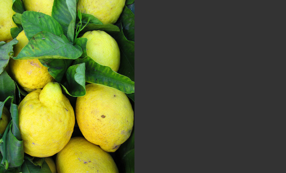 14: Frische Amalfizitronen  