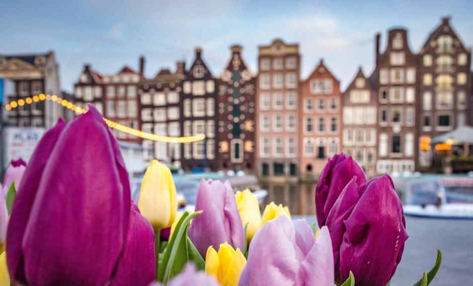 Amsterdam Gracht mit typischer Häuserreihe in Amsterdam und Tulpen im Vordergrund