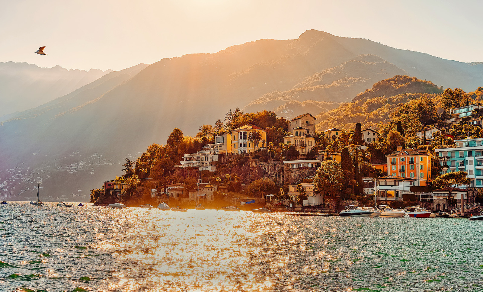 Blick auf Lago Maggiore und Ascona im Abendlicht